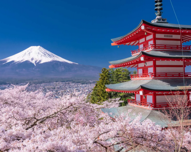 海外学生の日本留学・遊学サポート